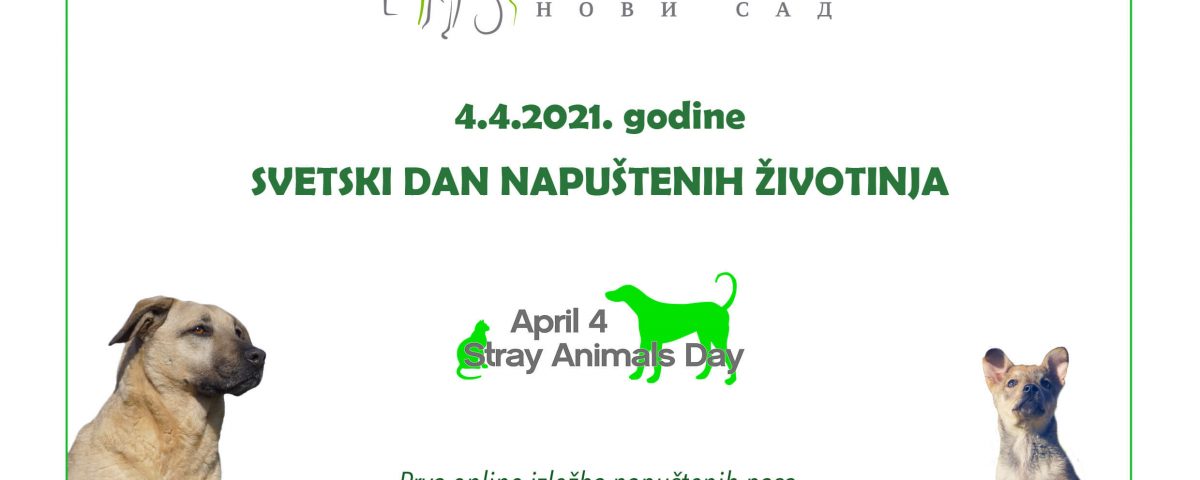 Online izložba napuštenih životinja iz gradnkog Prihvatilišta u Novom Sadu - 4.4.2021.